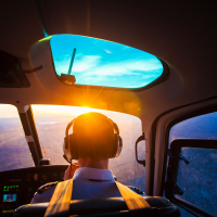 Experienced Instructors